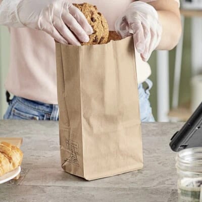 Disposal paper bag