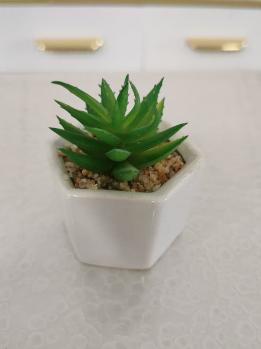 0043-18 artificial plant