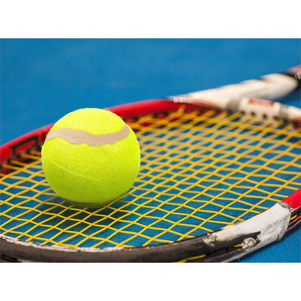 HJ-R012 3PCS TENNIS BALL