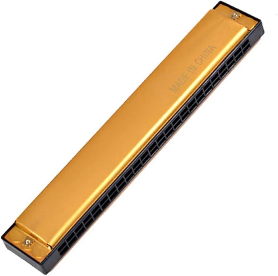 DF22-6 HARMONICA