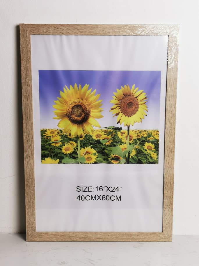 DR6058X-A2 FRAME