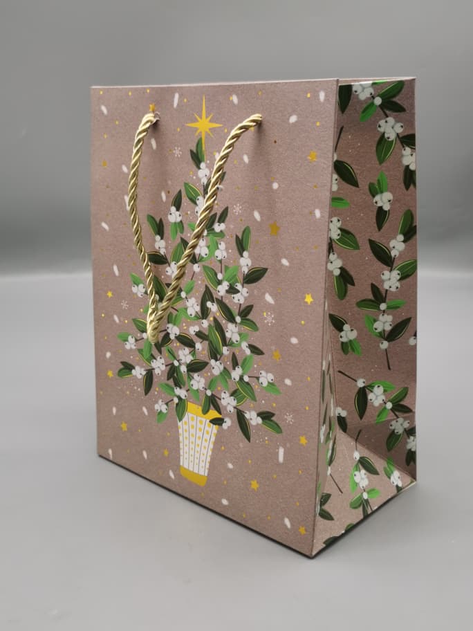 Gift bag 2525s
