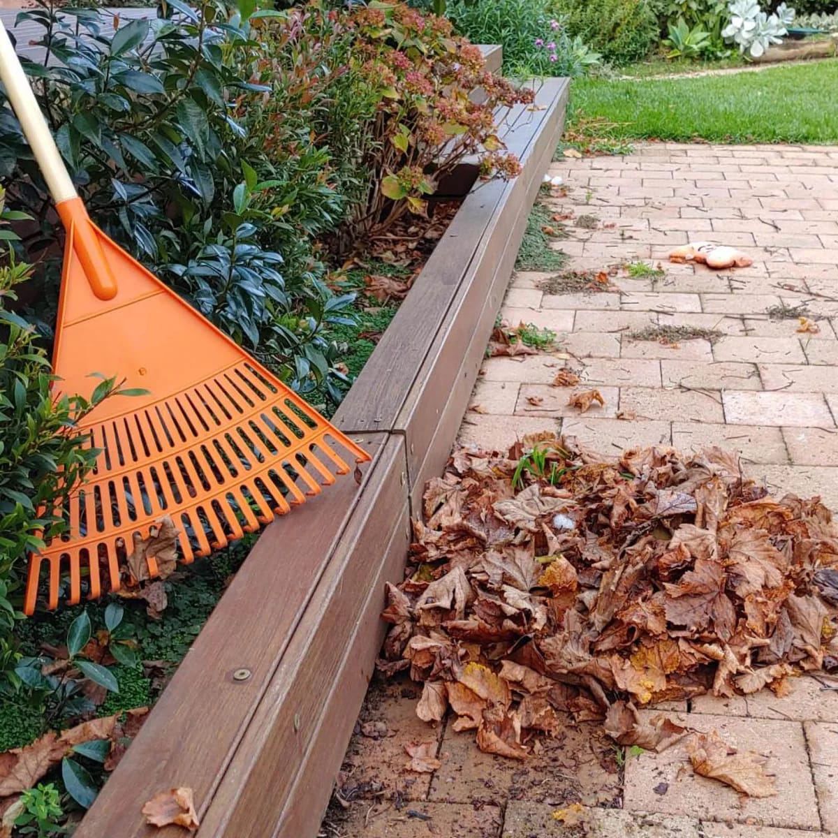 LB005 LEAF RAKE