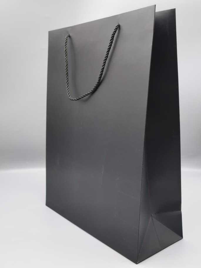 99137XL GIFT BAG