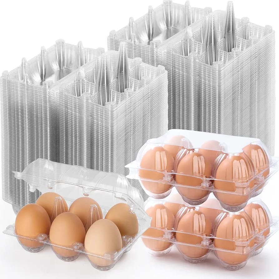 EGGG DOZEN CONTAINER
