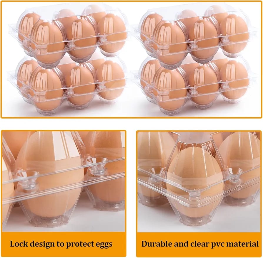 EGGG DOZEN CONTAINER