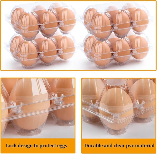 Egg Dozen CONTAINERs