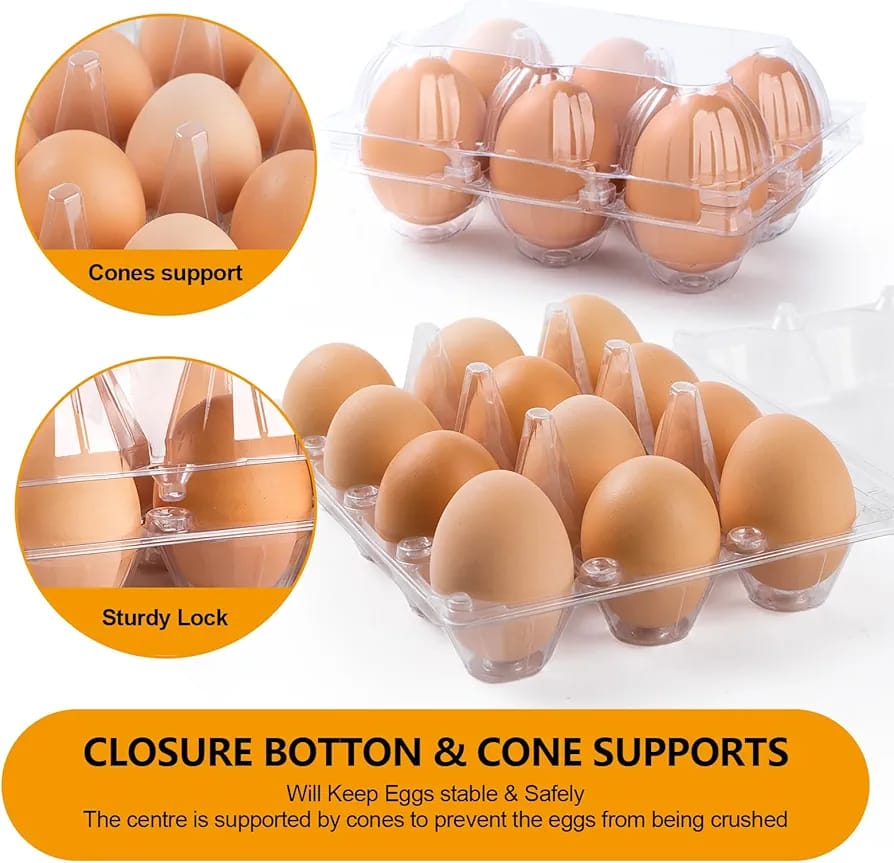 EGGG DOZEN CONTAINER