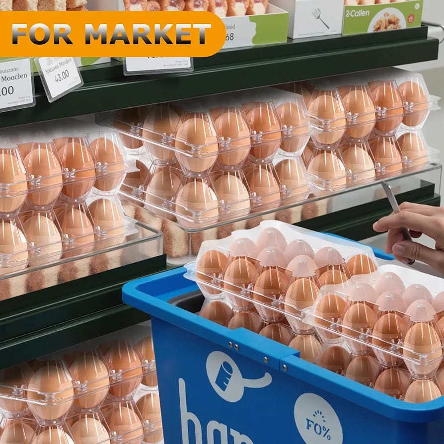 EGGG DOZEN CONTAINER