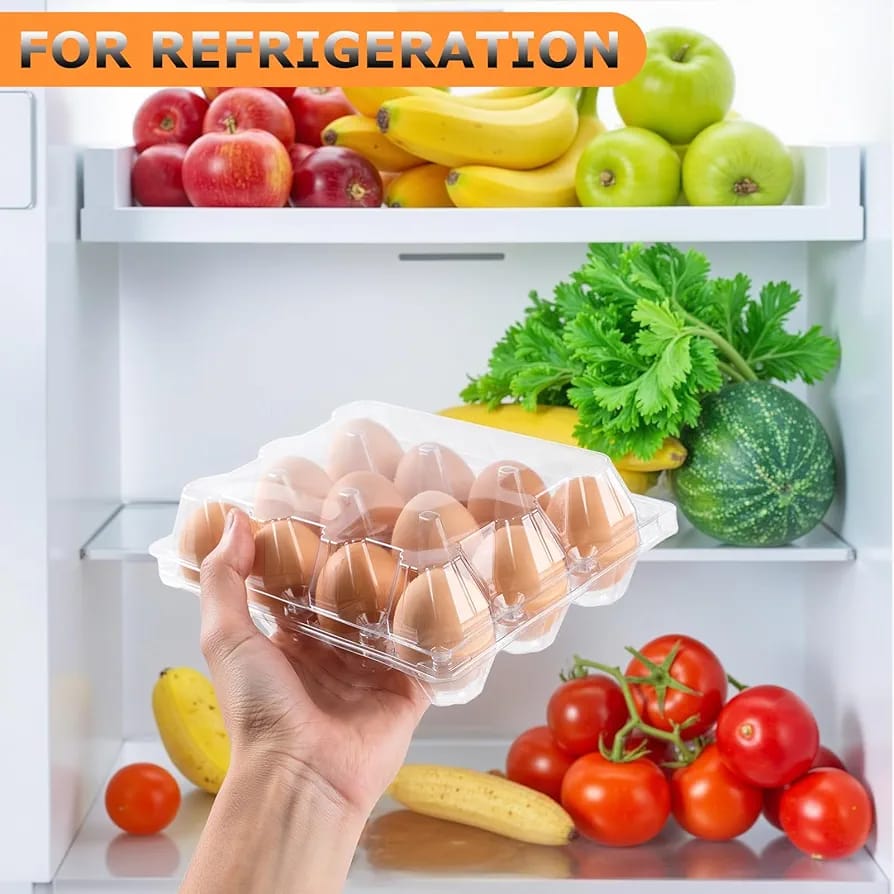 EGGG DOZEN CONTAINER