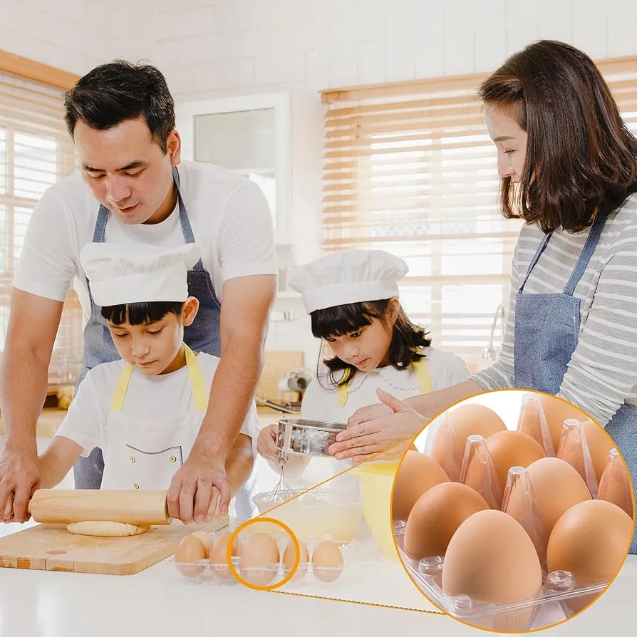 EGGG DOZEN CONTAINER