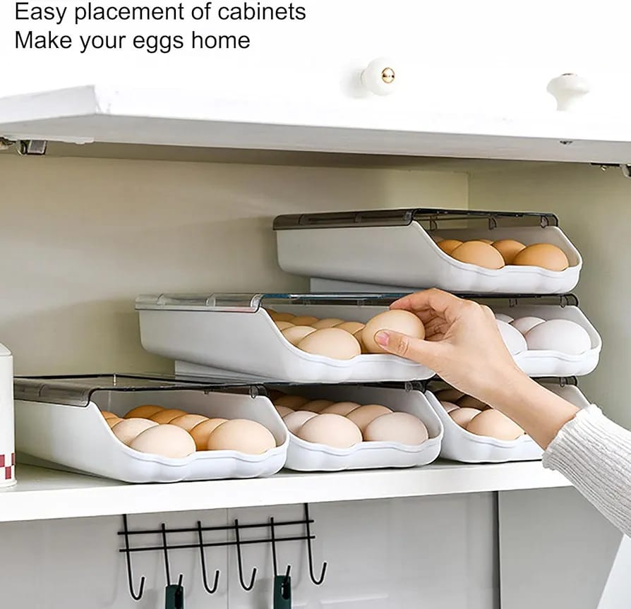 EGG STORAGE BOX
