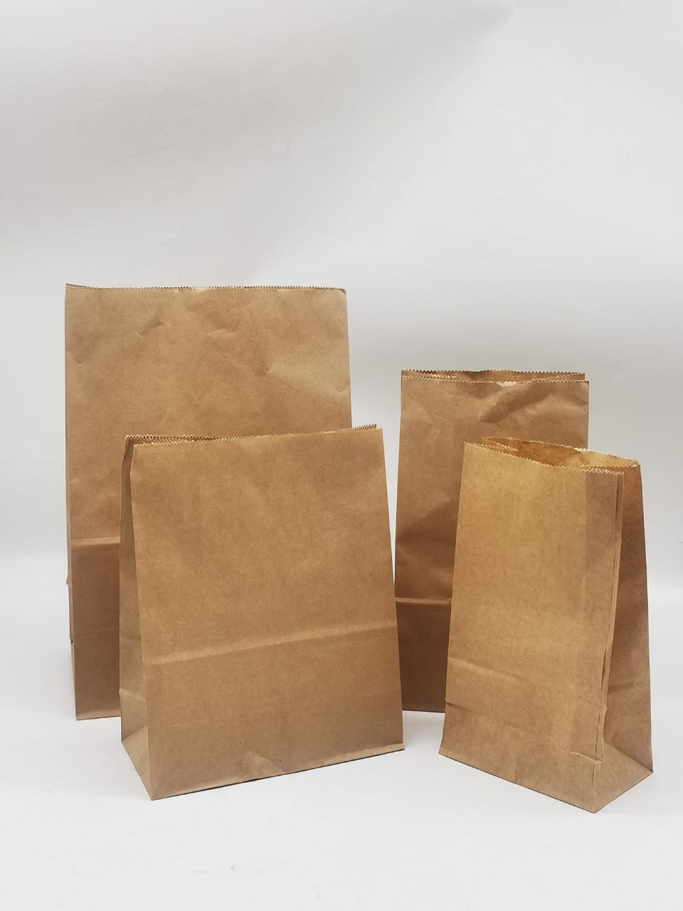Disposal paper bag