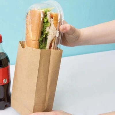 Disposal paper bag