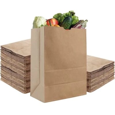 Disposal paper bag