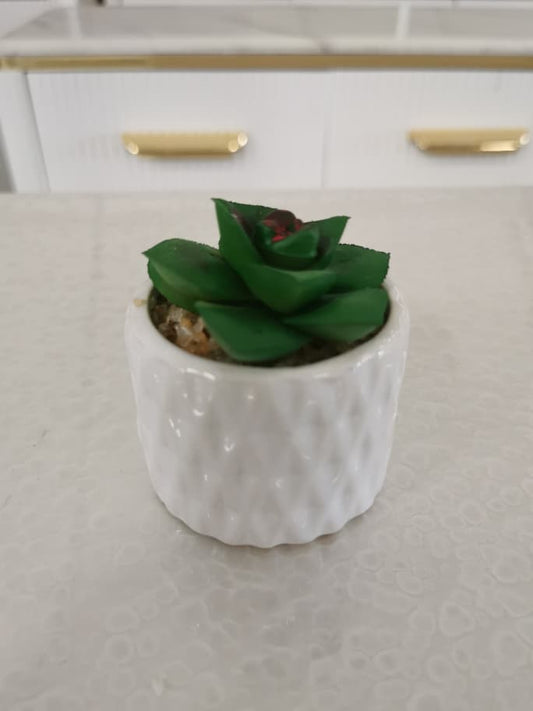 0043-18 artificial plant