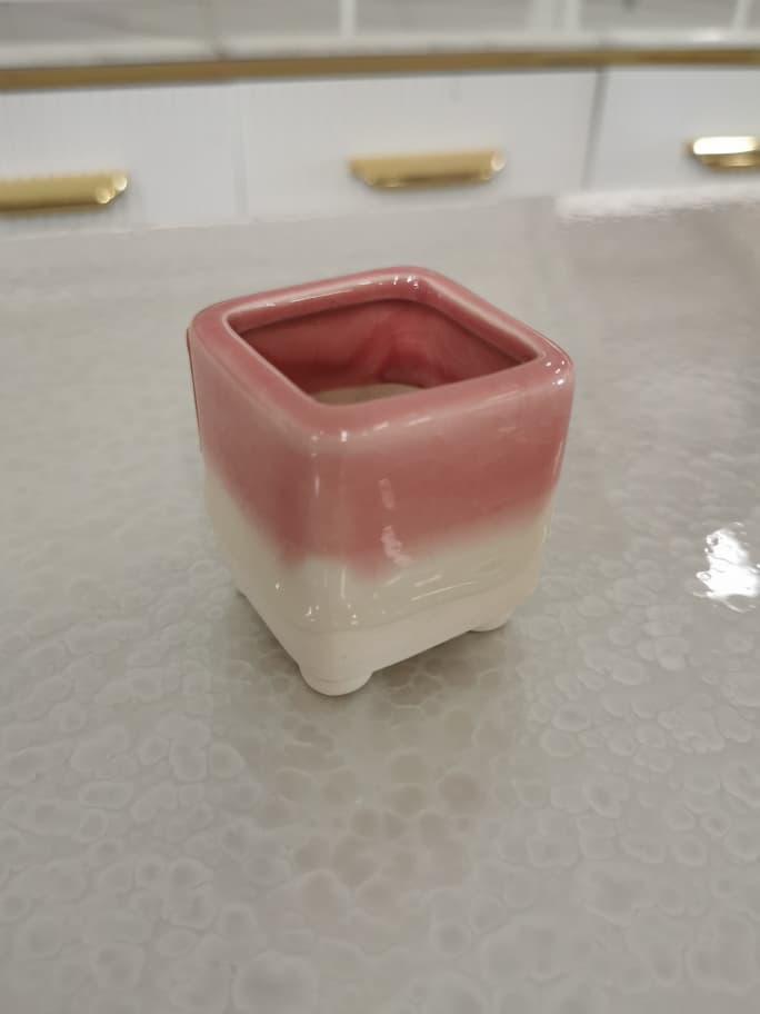 BL1013 F/POT