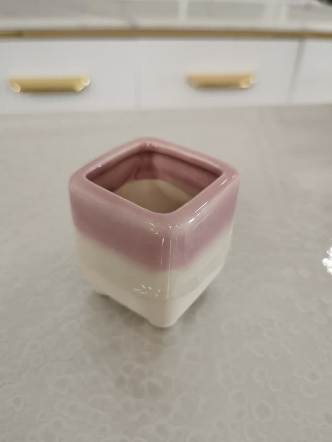 BL1013 F/POT
