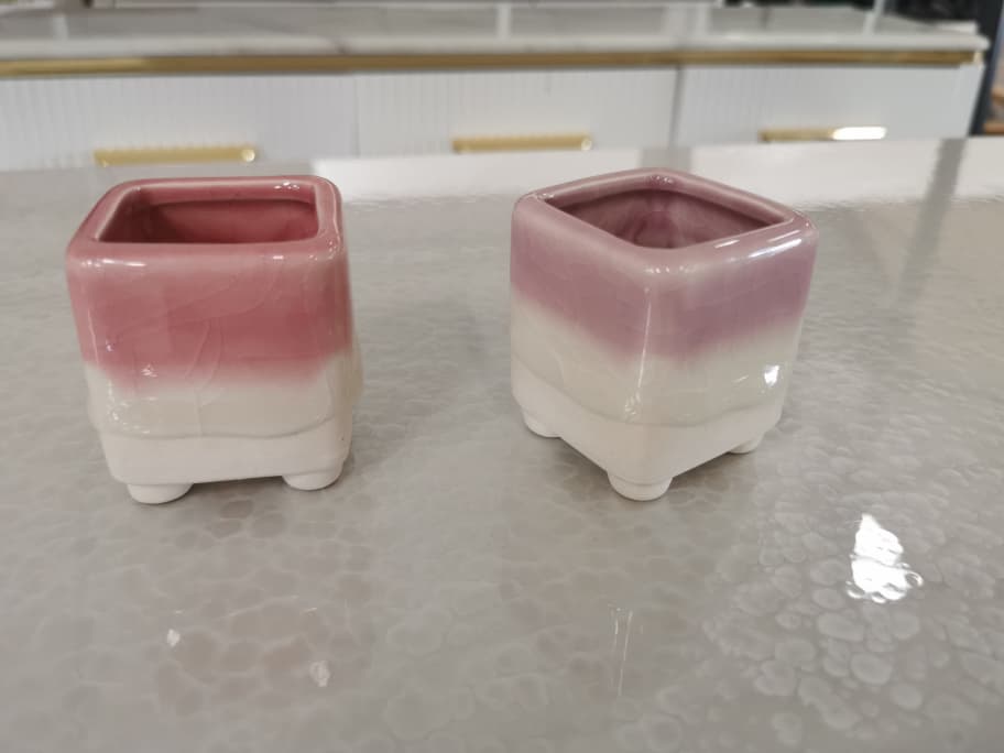 BL1013 F/POT
