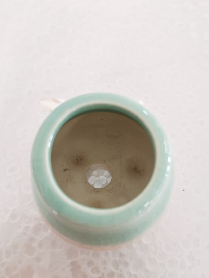 BL1013 F/POT