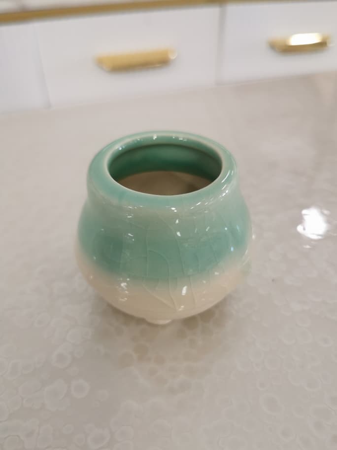 BL1013 F/POT