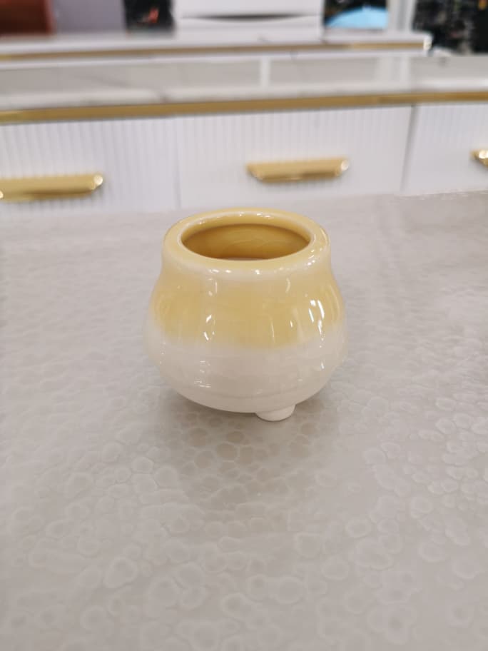 BL1013 F/POT