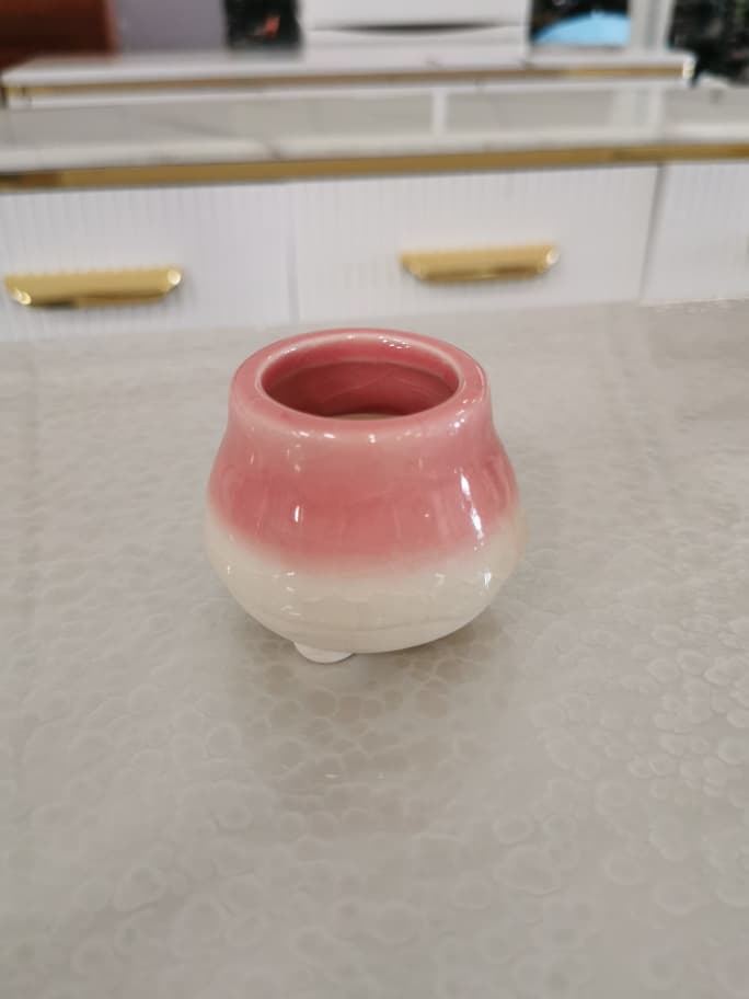 BL1013 F/POT