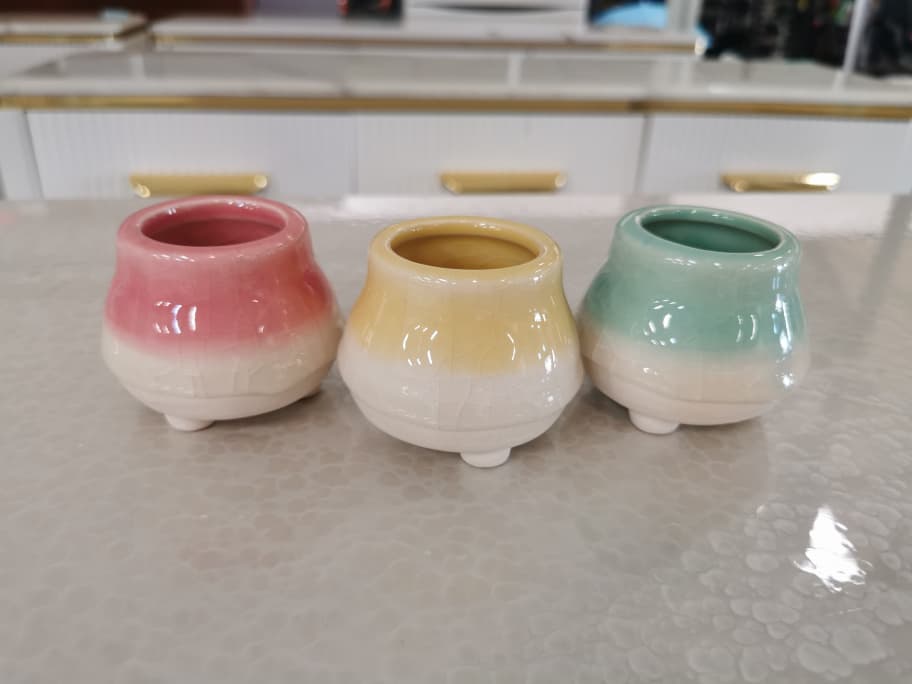 BL1013 F/POT