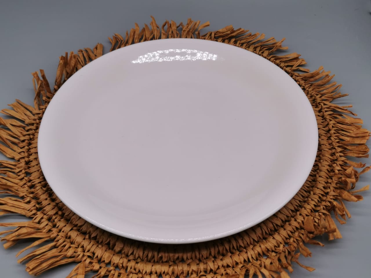 WJY 10.5 INCH PLATE