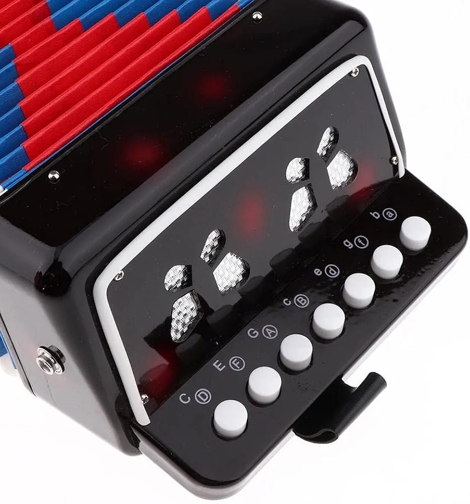 DF22-7 ACCORDION