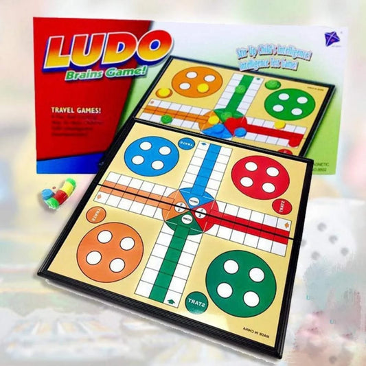 SLP LUDO BRAIN GAME