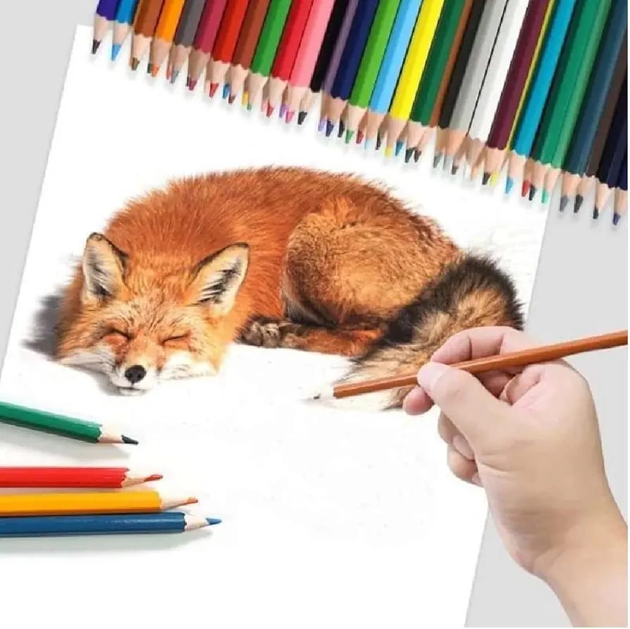 Erasable coloring pencil 24pcs