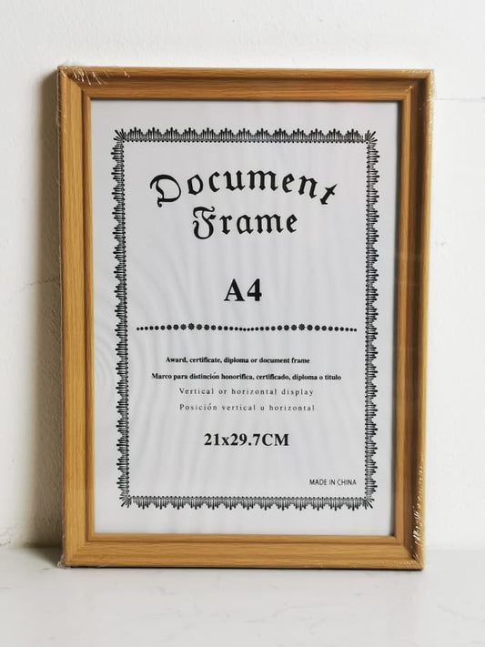 DR6081 A4 FRAME