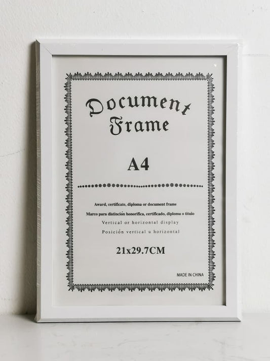 DR6143X-1-A4 FRAME