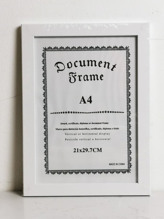 DR6135-1 A4 FRAME