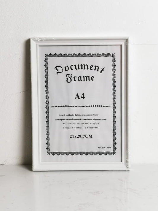 DR6081 A4 FRAME