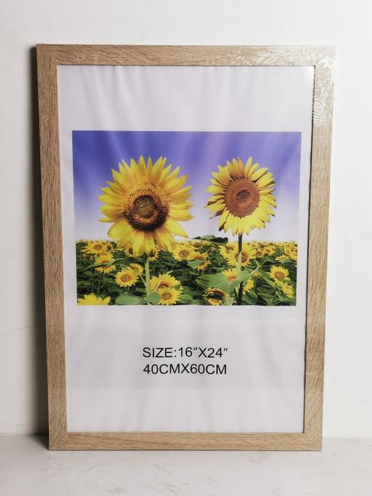 DR6058X-A2 FRAME
