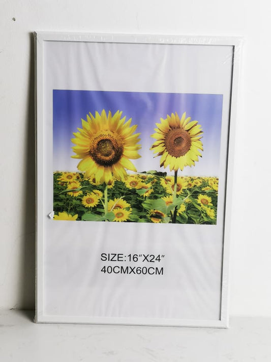 DR6143X-1-A2 FRAME