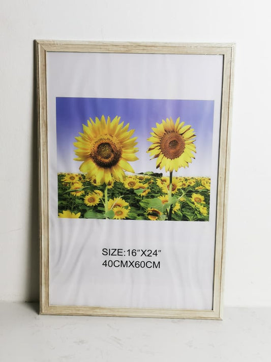 DR6143X-1-A2 FRAME