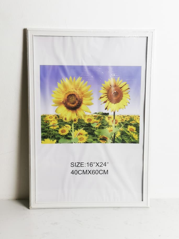 DR6145-A2 FRAME