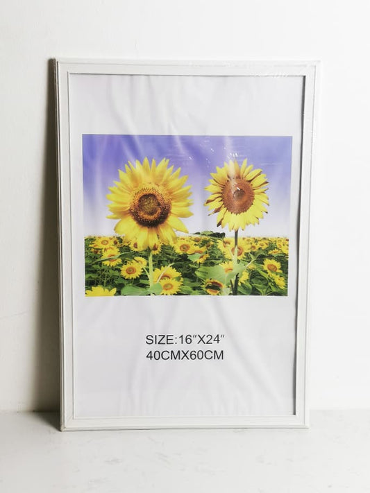 DR6145-A2 FRAME