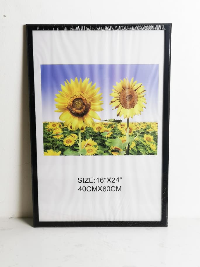 DR6143-1-A2 FRAME