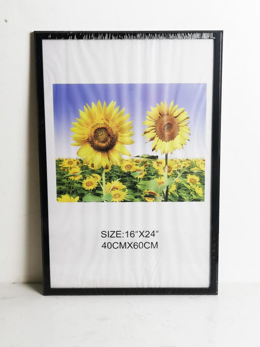 DR6143-1-A2 FRAME