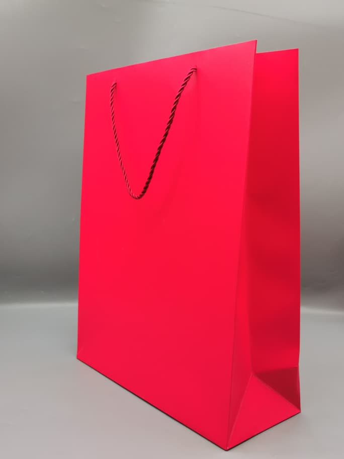 99137XL GIFT BAG