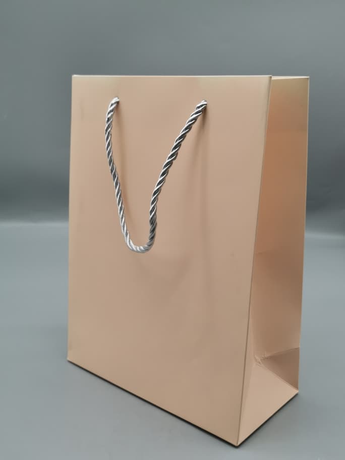 99137 GIFT BAG