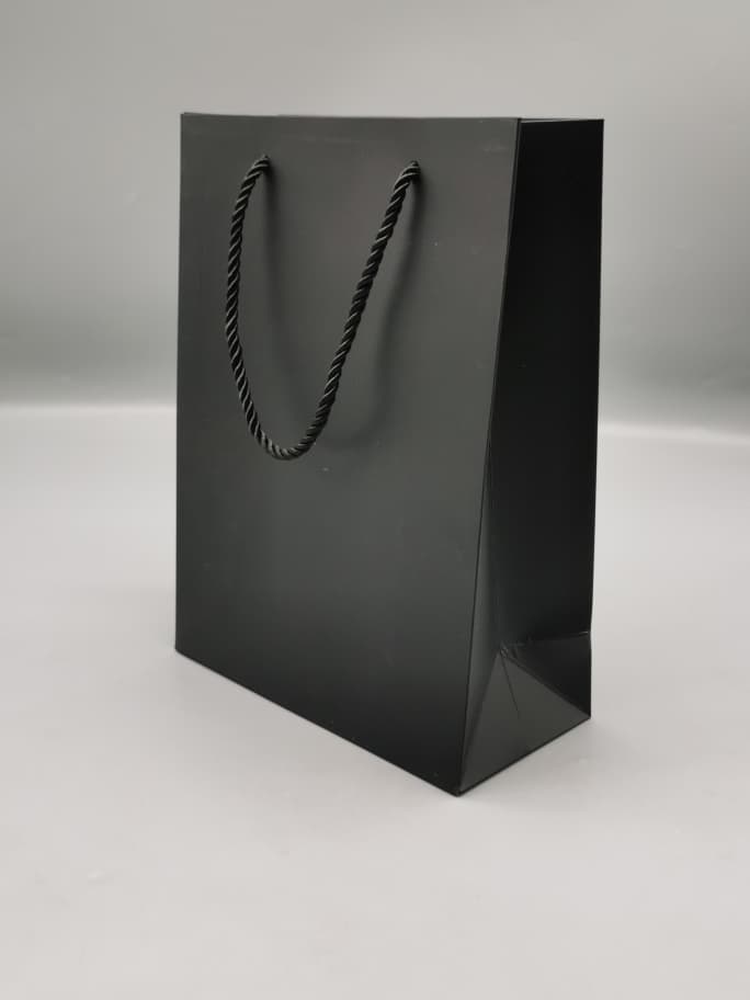 99137 GIFT BAG