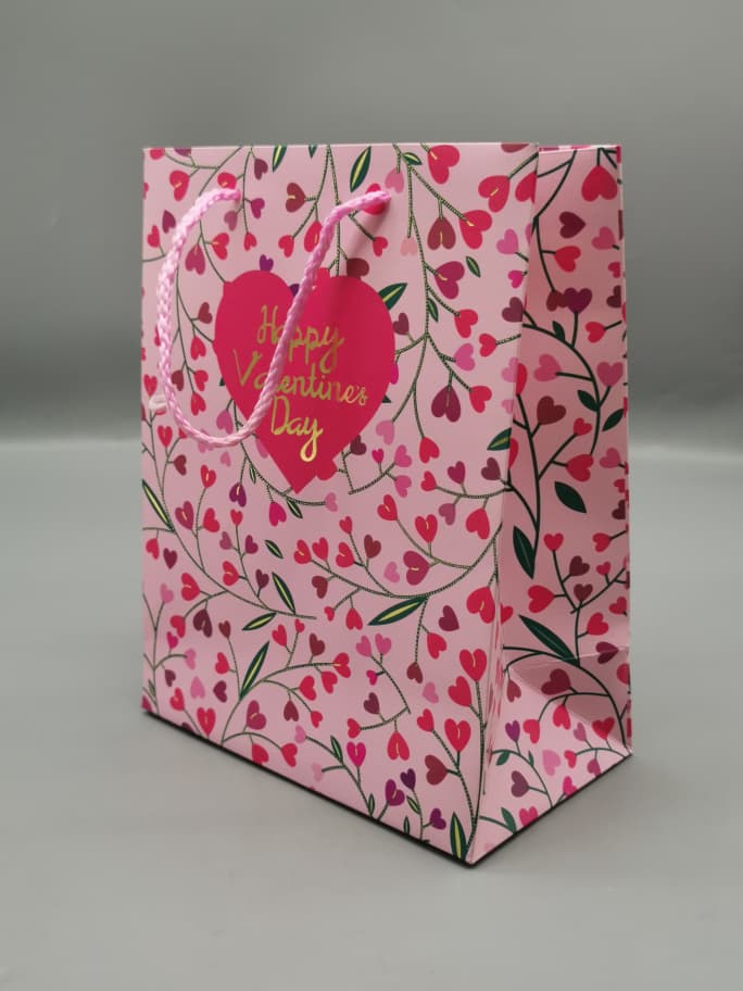 HS3151 GIFT BAG MEDIUM