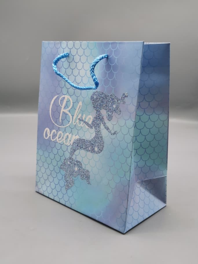 HS6854 GIFT BAG MEDIUM
