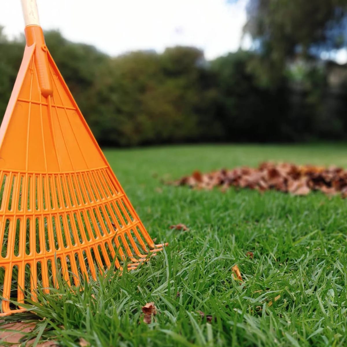 LB005 LEAF RAKE
