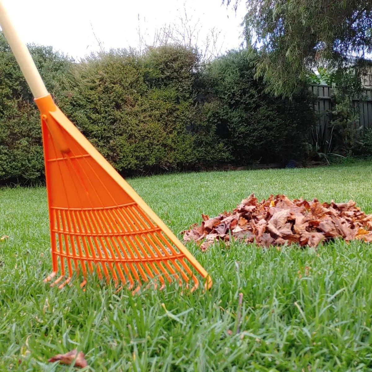 LB005 LEAF RAKE